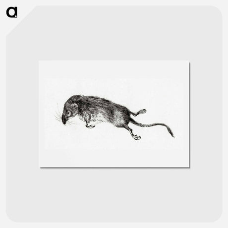 アートポストカード-Death mouse - ジャン ベルナール Postcard.