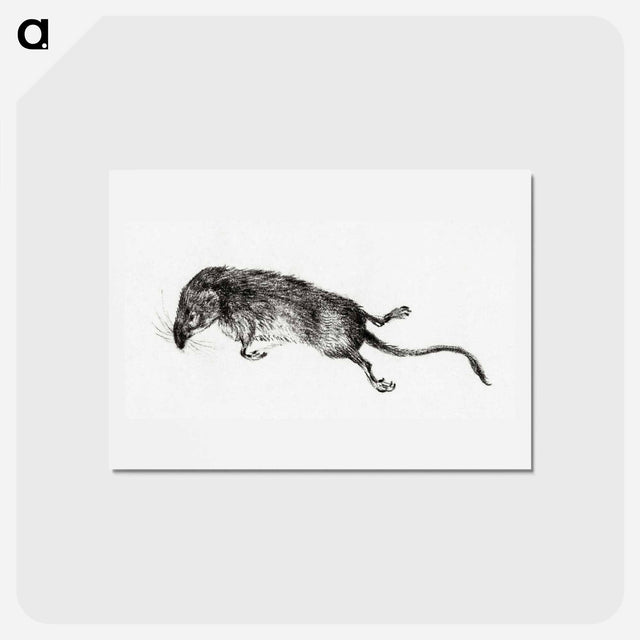 アートポストカード-Death mouse - ジャン ベルナール Postcard.