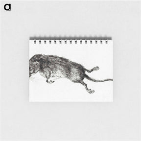 アートメモ帳-Death mouse - ジャン ベルナール Memo.