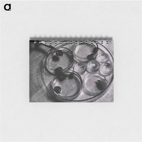 アートメモ帳-Infectious Diseases
 - 国立医学図書館 Memo.
