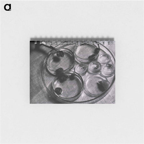 アートメモ帳-Infectious Diseases
 - 国立医学図書館 Memo.