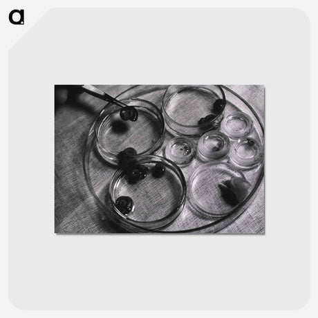 アートポストカード-Infectious Diseases
 - 国立医学図書館 Postcard.