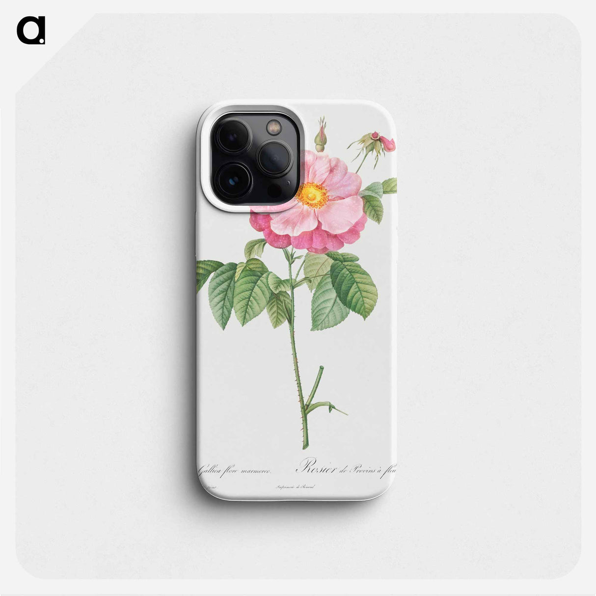 Marbled or speckled Provins rose, Rosa gallica flore marmoreo - ピエール ジョゼフ ルドゥーテ Phone Case.