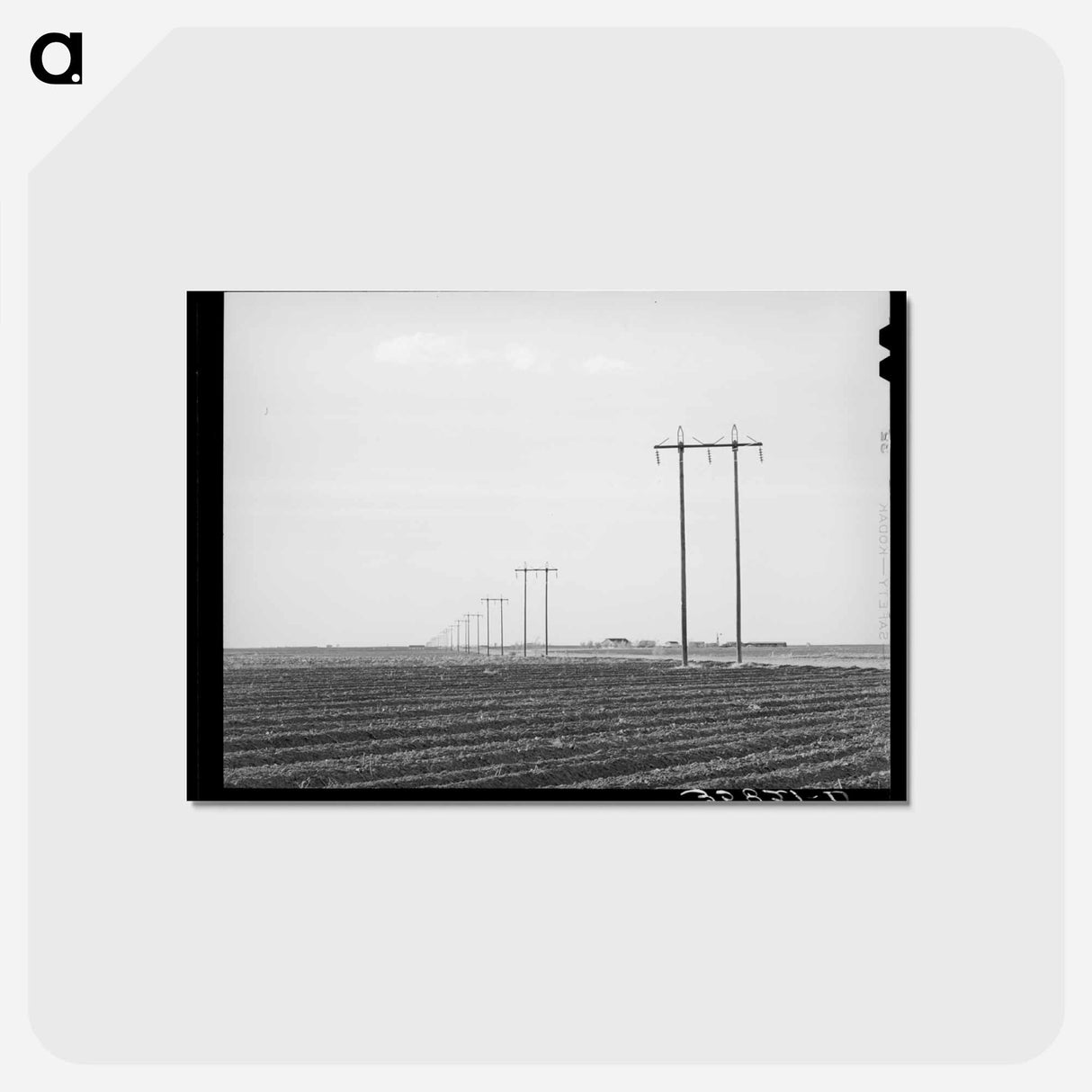 アートポストカード-Power Lines, Dawson County
 - ラッセル リー Postcard.