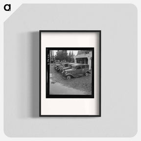 アートポスター-Untitled photo, possibly related to: Roadside used car display on State Highway 17, in season when migrants come into region for pea-picking. Santa Clara County, California - ドロテア ラング Poster.