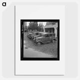 Untitled photo, possibly related to: Roadside used car display on State Highway 17, in season when migrants come into region for pea-picking. Santa Clara County, California - ドロテア ラング Poster.