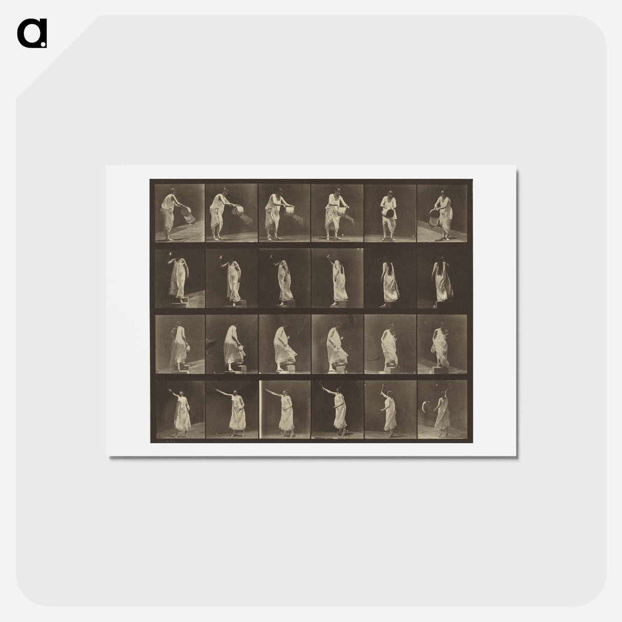 アートポストカード-Animal Locomotion
 - エドワード マイブリッジ Postcard.