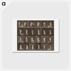 アートポストカード-Animal Locomotion
 - エドワード マイブリッジ Postcard.