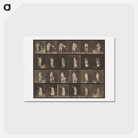 アートポストカード-Animal Locomotion
 - エドワード マイブリッジ Postcard.