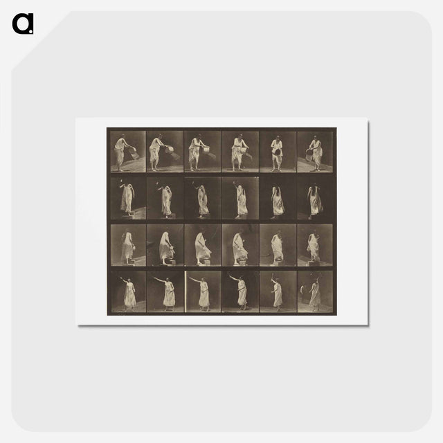 アートポストカード-Animal Locomotion
 - エドワード マイブリッジ Postcard.