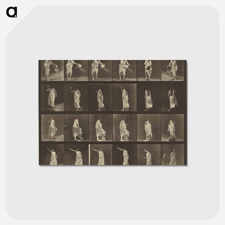 アートポストカード-Animal Locomotion
 - エドワード マイブリッジ Postcard.