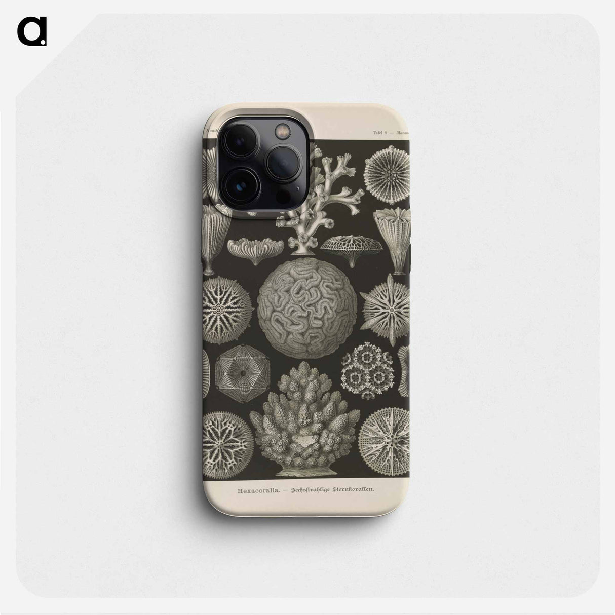 Marine life illustration - エルンスト ヘッケル Phone Case.