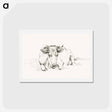 アートポストカード-Lying cow - ジャン ベルナール Postcard.
