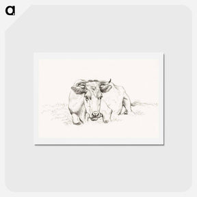 アートポストカード-Lying cow - ジャン ベルナール Postcard.