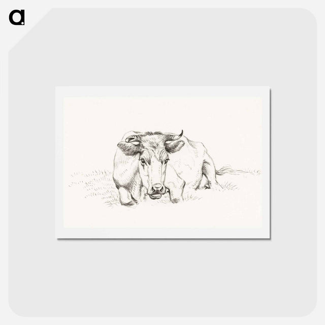 アートポストカード-Lying cow - ジャン ベルナール Postcard.