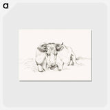 アートポストカード-Lying cow - ジャン ベルナール Postcard.