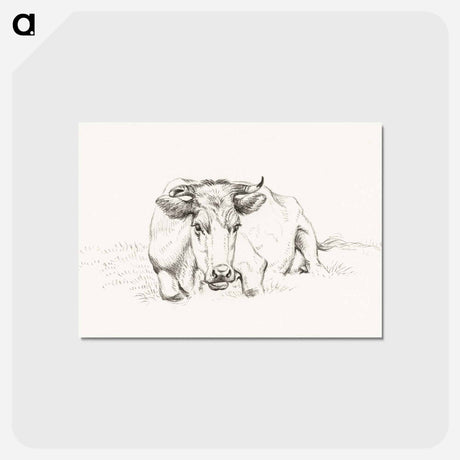 アートポストカード-Lying cow - ジャン ベルナール Postcard.