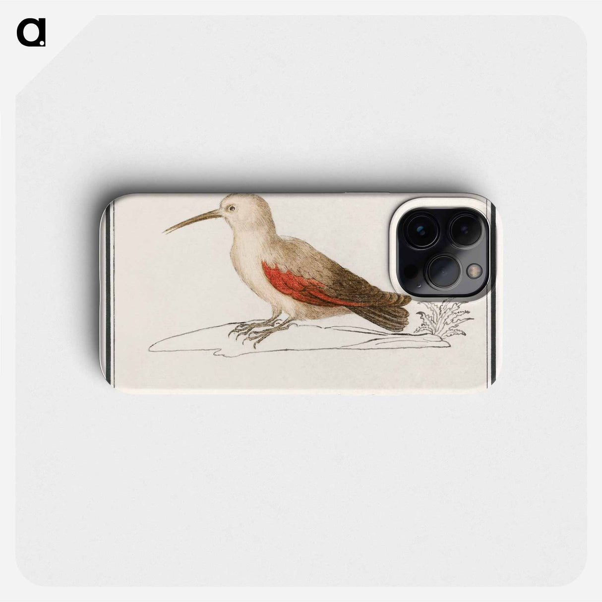 Wallcreeper - アンセルムス ボエティウス デ ブート Phone Case.