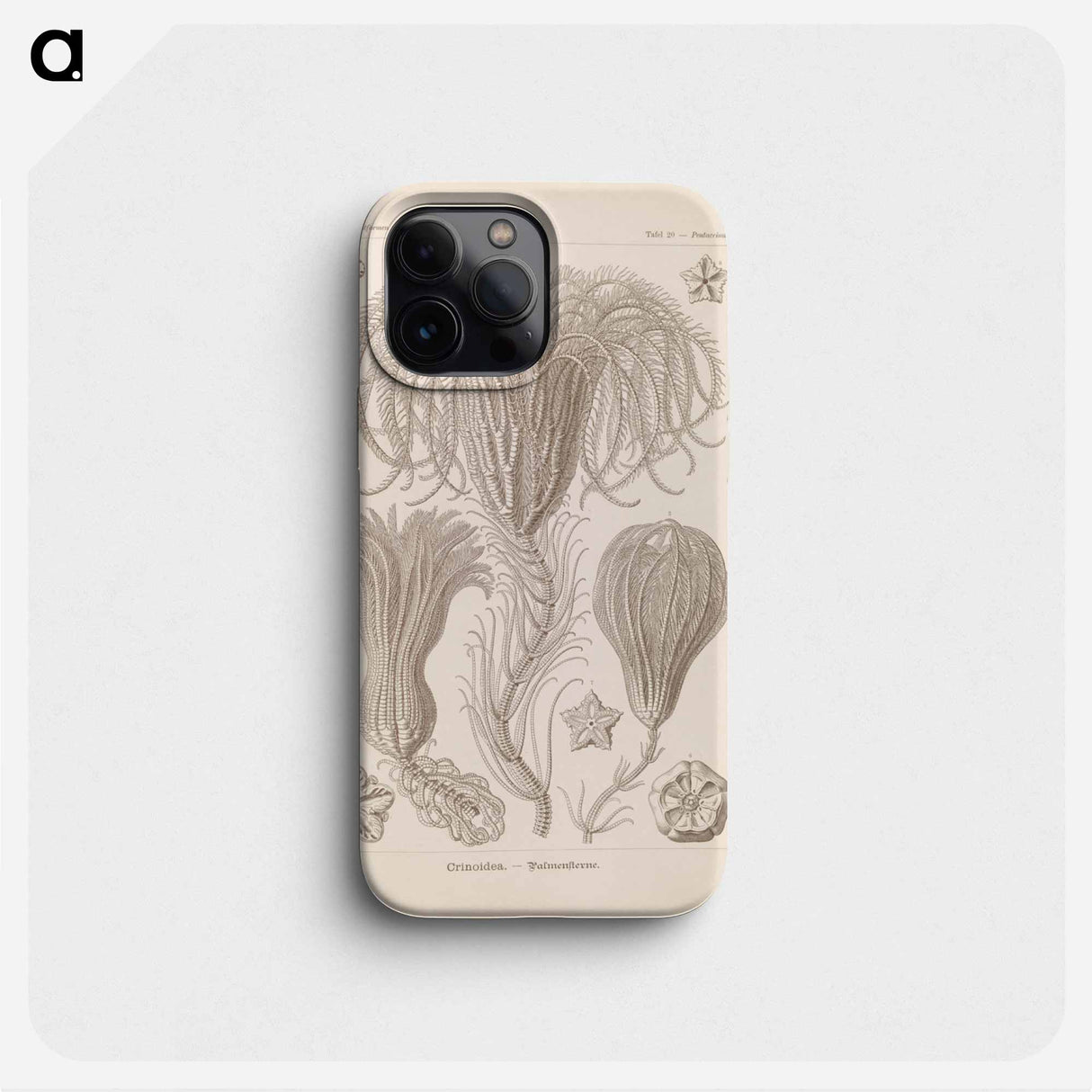 Marine life illustration - エルンスト ヘッケル Phone Case.