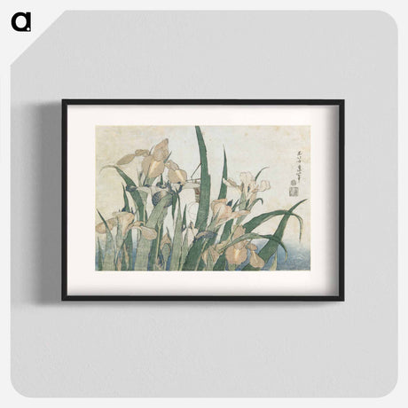 アートポスター-Irises and Grasshopper - 葛飾 北斎 Poster.