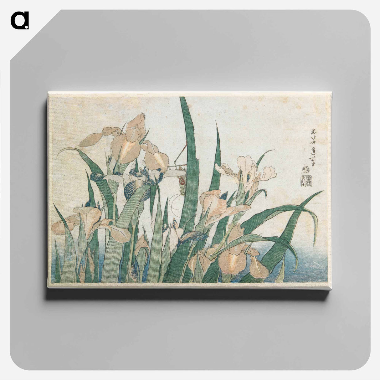 Irises and Grasshopper - 葛飾 北斎 Canvas.