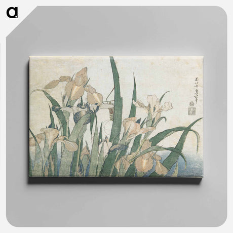 アートパネル-Irises and Grasshopper - 葛飾 北斎 Canvas.