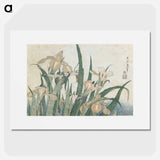 アートポスター-Irises and Grasshopper - 葛飾 北斎 Poster.