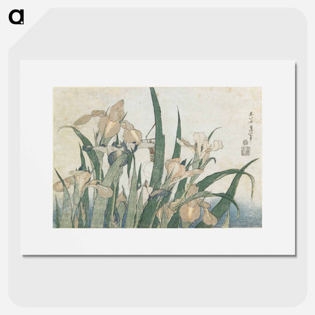 アートポスター-Irises and Grasshopper - 葛飾 北斎 Poster.