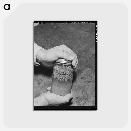 アートポストカード-Intercontinental Rubber Producers Laboratory Exhibit
 - ラッセル リー Postcard.