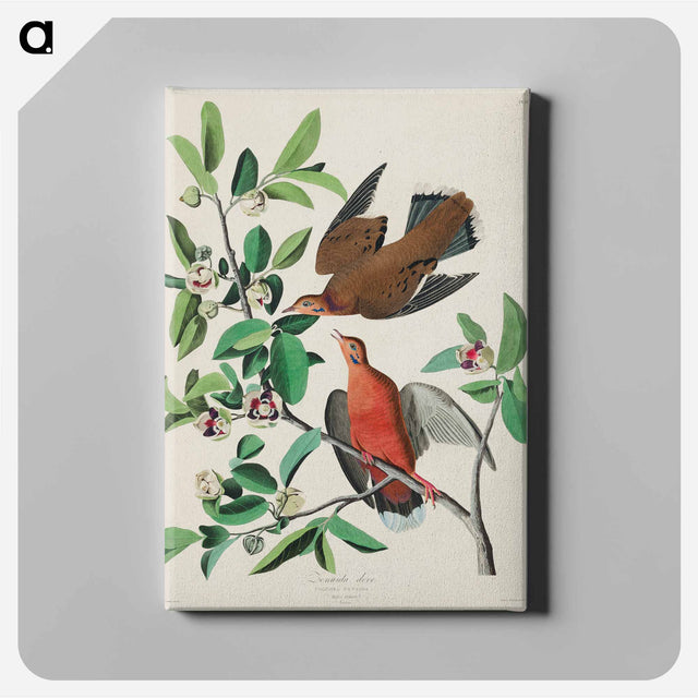 アートパネル-Birds of America
 - アメリカの鳥たち Canvas.