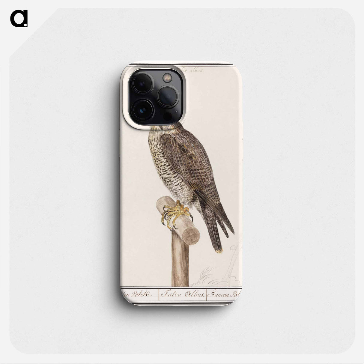 Peregrine Falcon - アンセルムス ボエティウス デ ブート Phone Case.