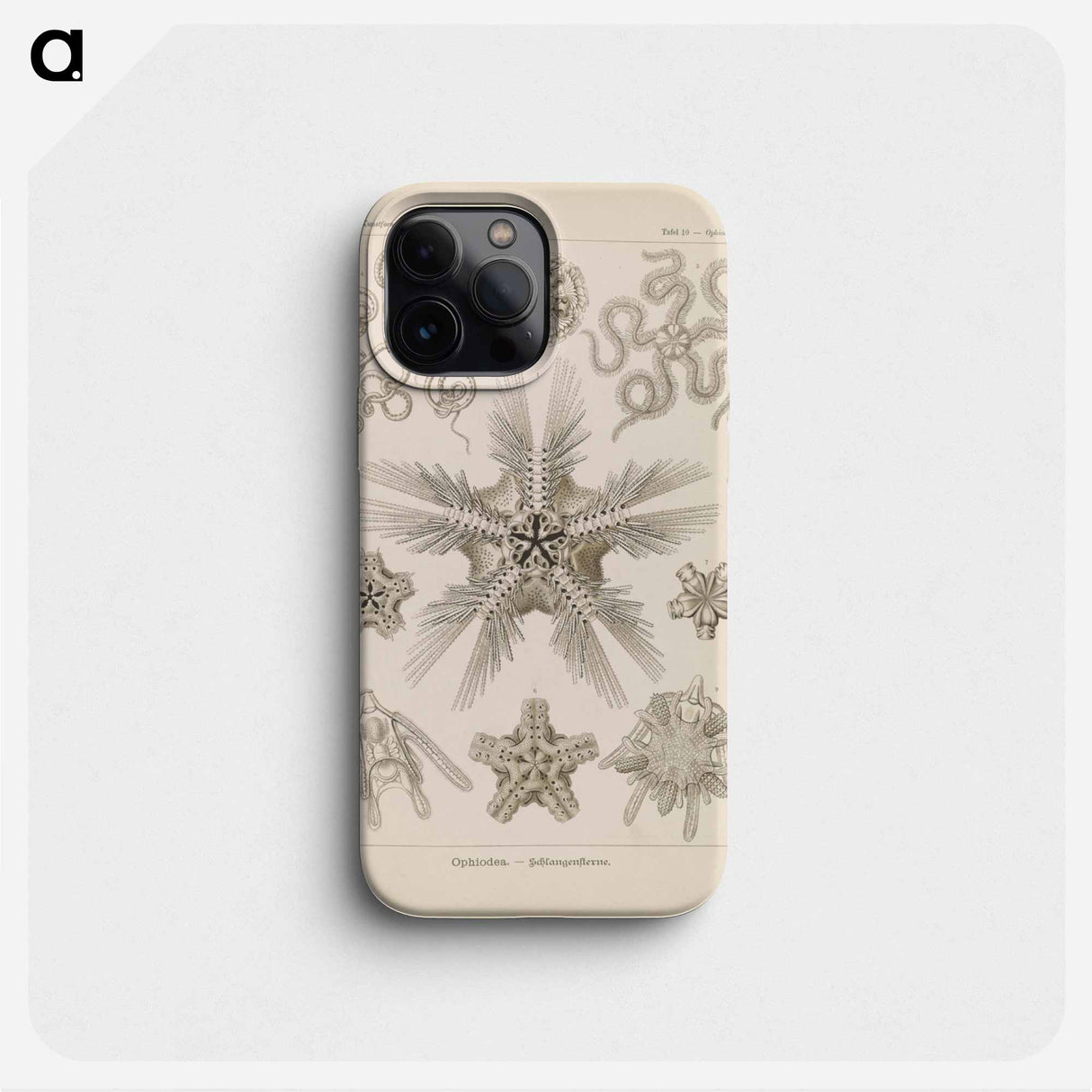 Marine life illustration - エルンスト ヘッケル Phone Case.