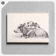 アートパネル-Two lying cows - ジャン ベルナール Canvas.