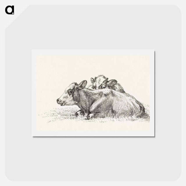アートポストカード-Two lying cows - ジャン ベルナール Postcard.