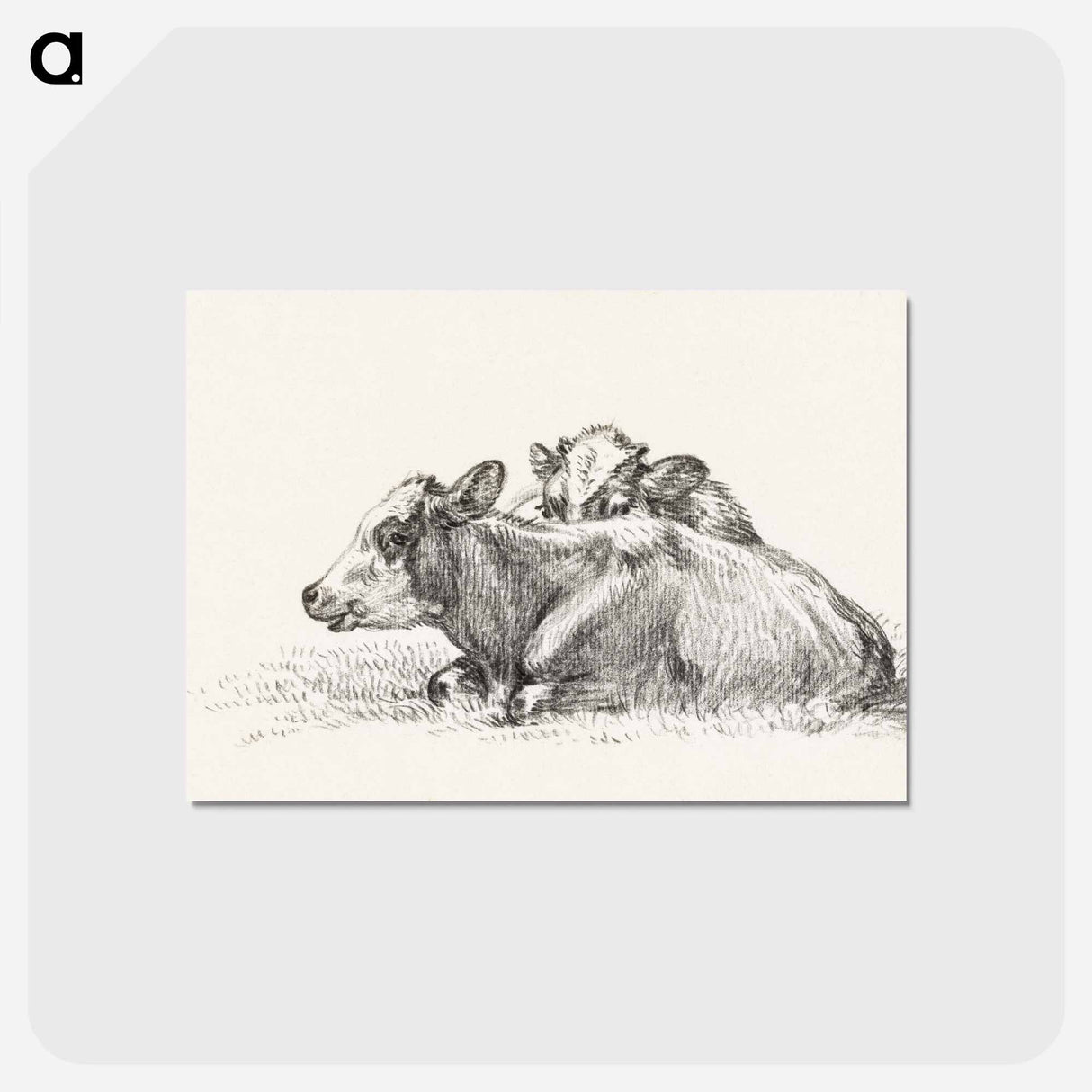 アートポストカード-Two lying cows - ジャン ベルナール Postcard.