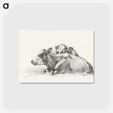 アートポストカード-Two lying cows - ジャン ベルナール Postcard.