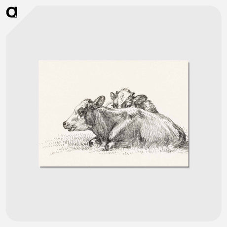 アートポストカード-Two lying cows - ジャン ベルナール Postcard.