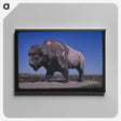 3-89_John-Margolies_canvas