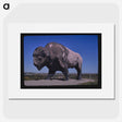 3-89_John-Margolies_picture