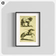 アートポスター-Herd Horses
 - 国立医学図書館 Poster.