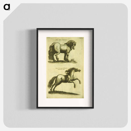 アートポスター-Herd Horses
 - 国立医学図書館 Poster.