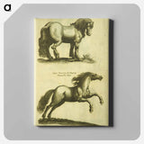 アートパネル-Herd Horses
 - 国立医学図書館 Canvas.