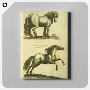 アートパネル-Herd Horses
 - 国立医学図書館 Canvas.