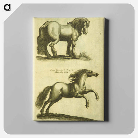 アートパネル-Herd Horses
 - 国立医学図書館 Canvas.