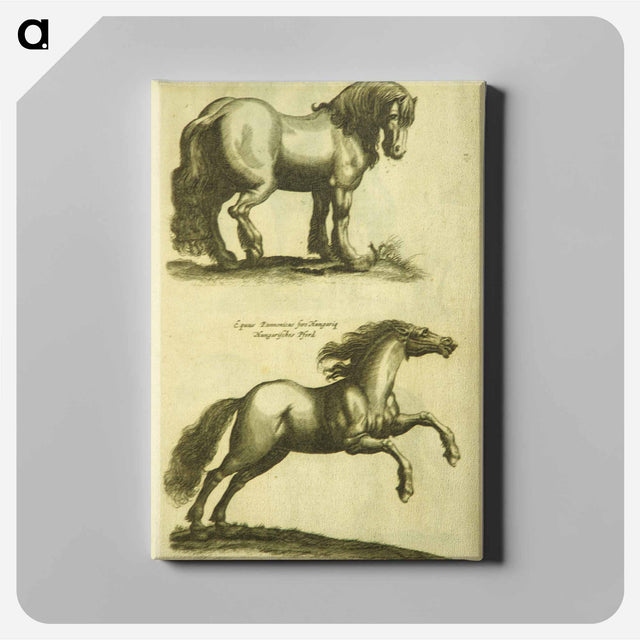 アートパネル-Herd Horses
 - 国立医学図書館 Canvas.