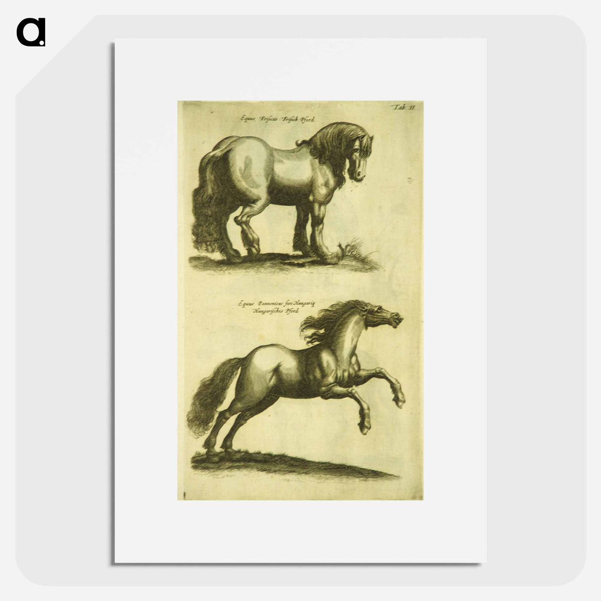 アートポスター-Herd Horses
 - 国立医学図書館 Poster.