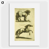 アートポスター-Herd Horses
 - 国立医学図書館 Poster.