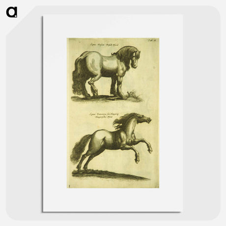 アートポスター-Herd Horses
 - 国立医学図書館 Poster.