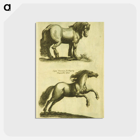 アートポストカード-Herd Horses
 - 国立医学図書館 Postcard.