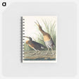 アートメモ帳-Salt Water Marsh Hen from Birds of America
 - アメリカの鳥たち Memo.